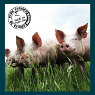 PORC FERMIER DE VENDÉE 
