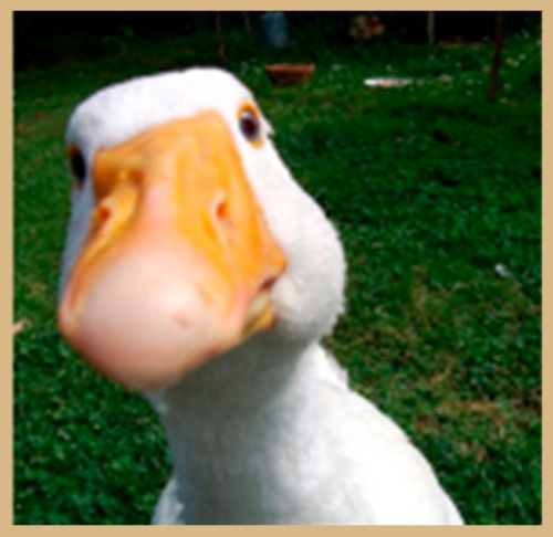 C’EST LES VACANCES !!