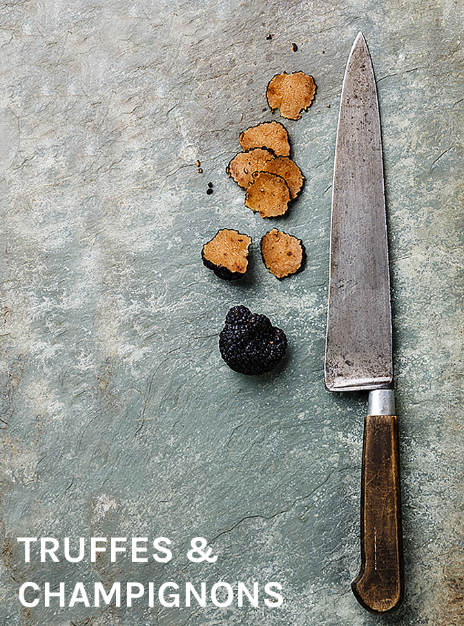 TRUFFES ET CHAMPIGNONS